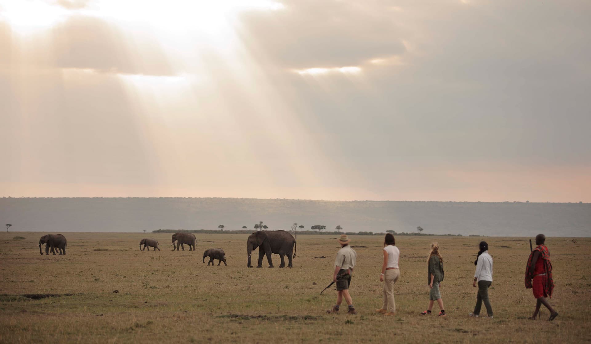 Elewana-collection-elephant-pepper-camp