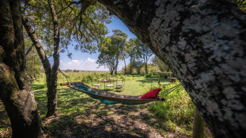 Elephant Pepper Hammock Tent 16x9