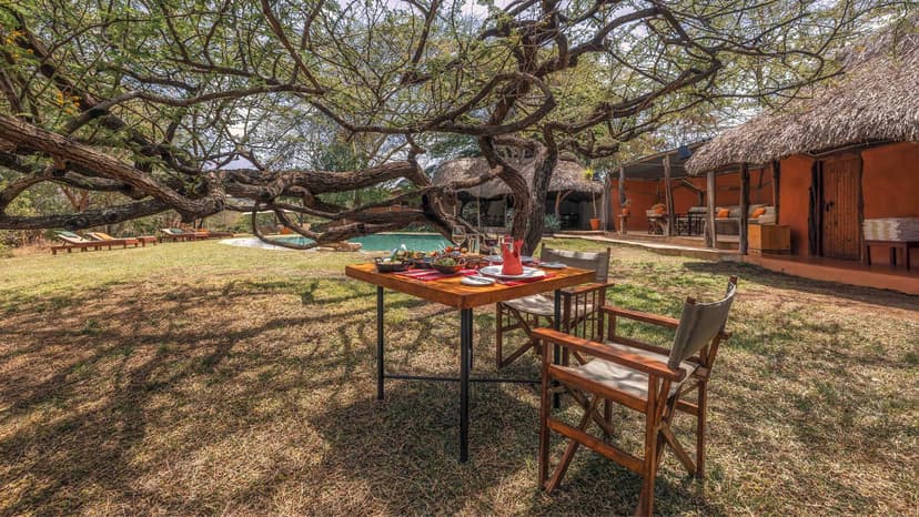 Elewana-Collection-Lewa-Safari-Camp-Tree